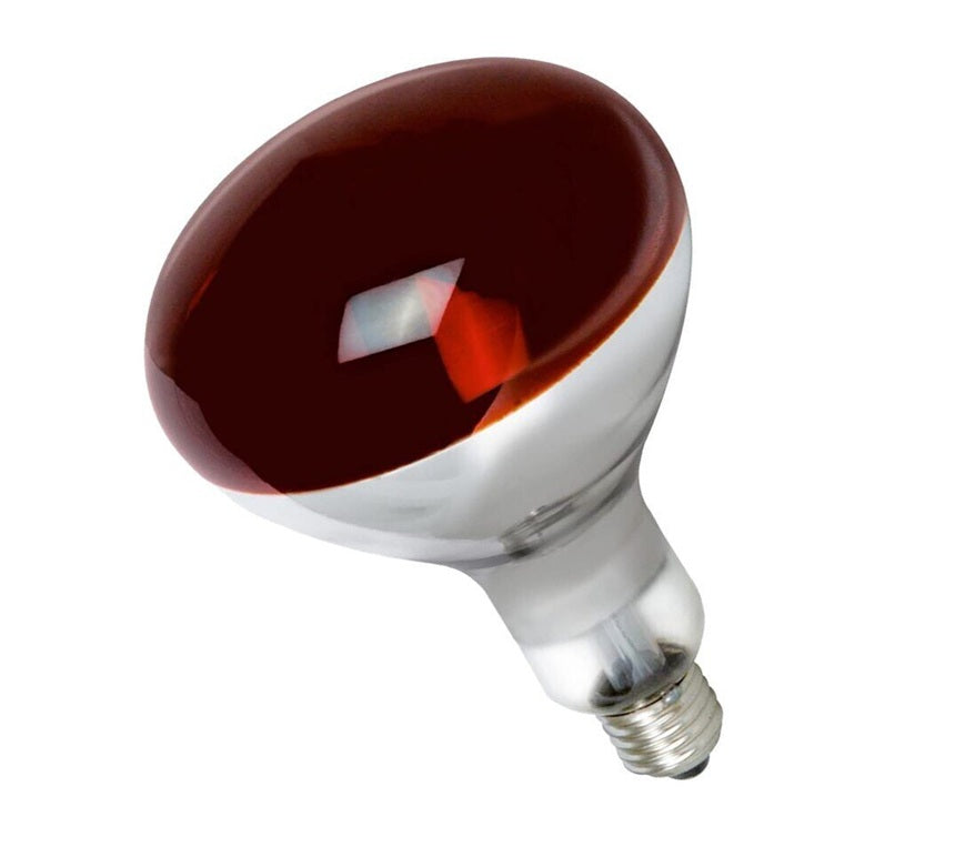 Bombilla 150W Infrarroja, Rosca E27, 230V