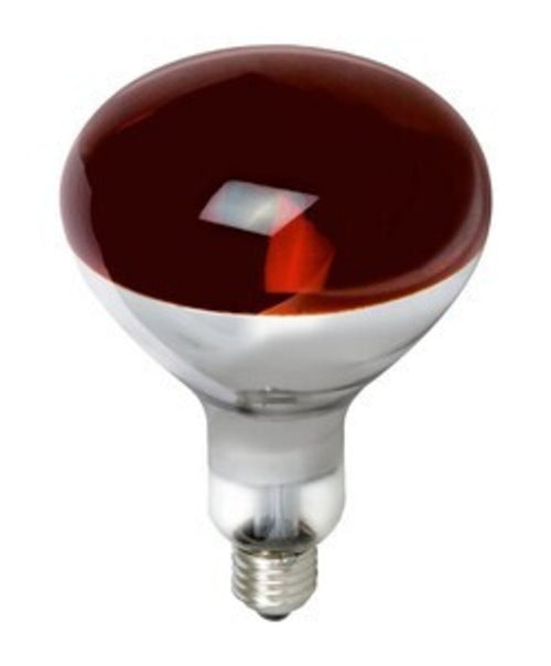 Bombilla 150W Infrarroja, Rosca E27, 230V