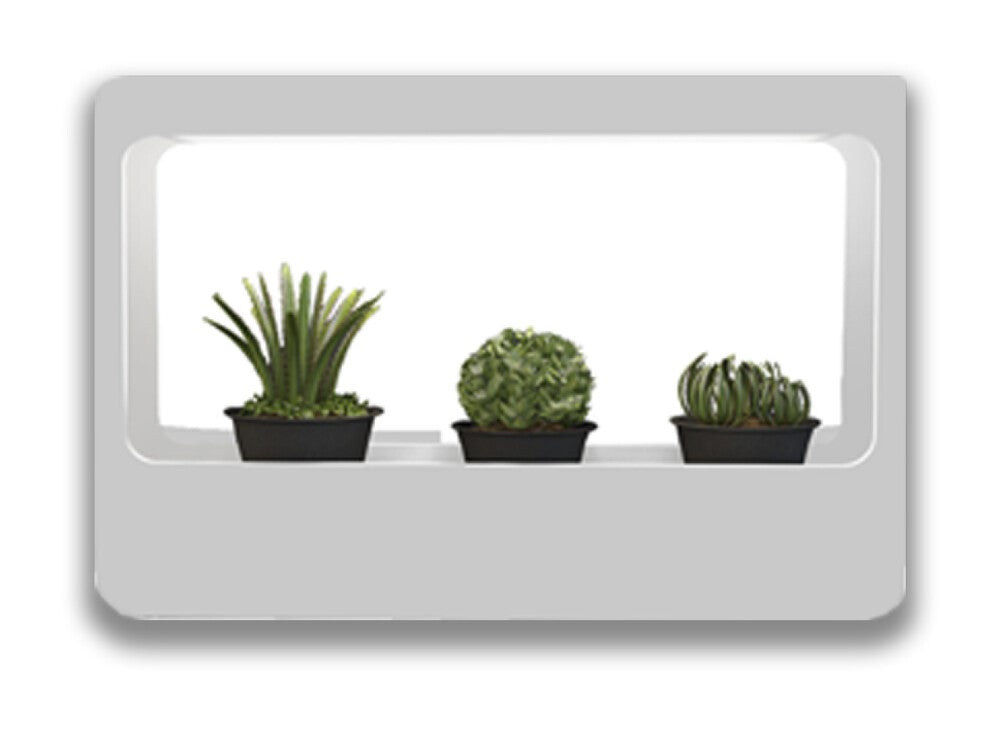 Kit de crecimiento de plantas para uso interior, incluye temporizador
